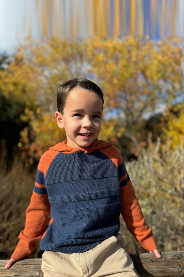 KIDS Me & Henry Pedro Striped Hooded Sweater