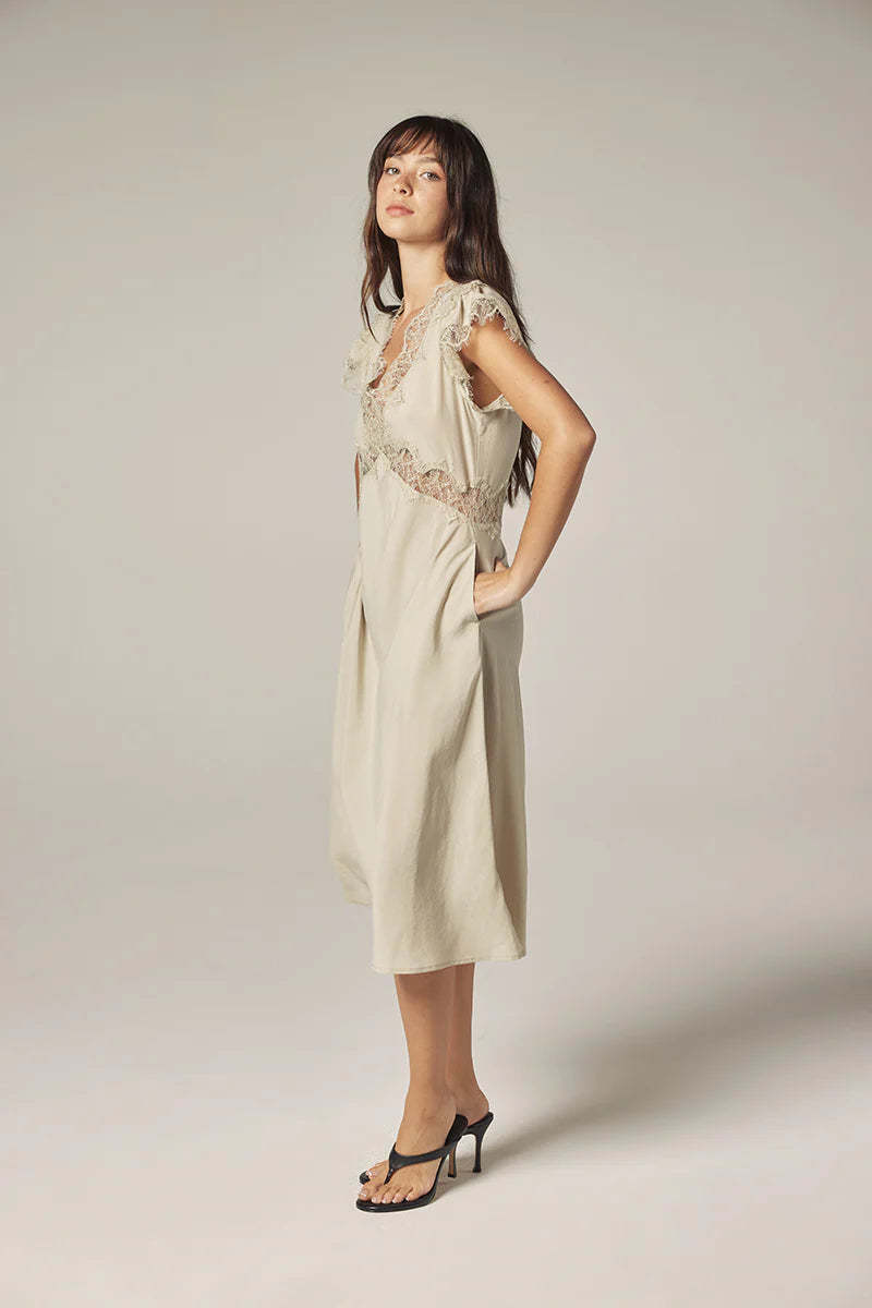 amente Lace Tencel Dress