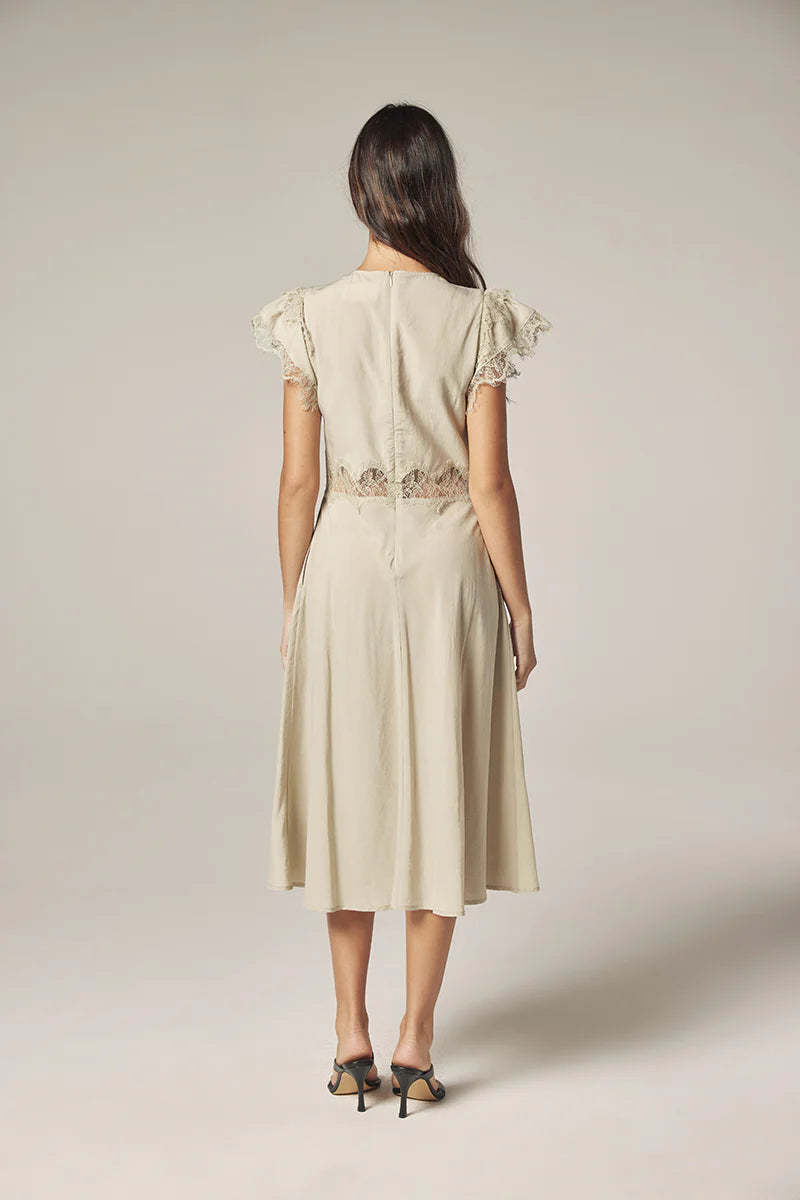 amente Lace Tencel Dress