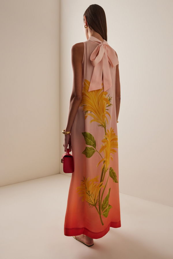 Viva O Sol Verandah Tie Back Ombre Floral Dress - Blush