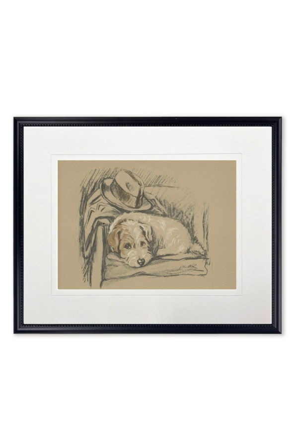 Antique Curiosities Dog with Hat Sketch Print in Black Frame