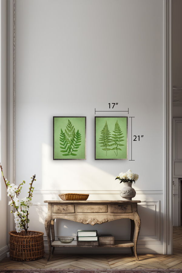 Antique Curiosities Ferns in Silver Frame Framed Print