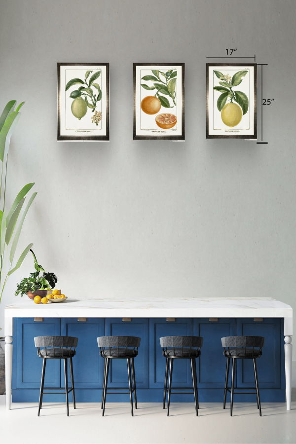 Antique Curiosities Lemon Plant in Silver Frame Print