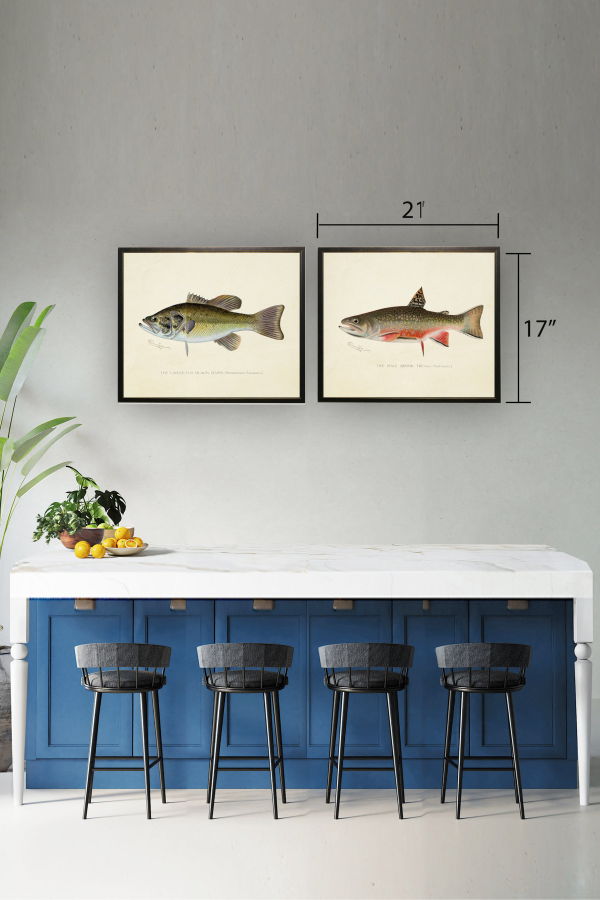 Antique Curiosities Male Brook Trout Print in Copper and Black Frame Print