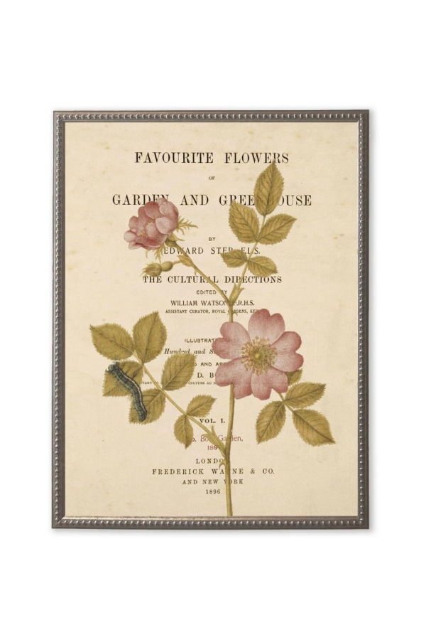 Antique Curiosities Pink Flowers On Book Page Framed Print