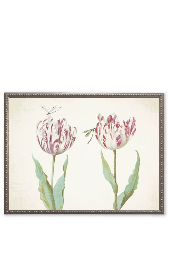 Antique Curiosities Pink Flowers with Two Dragonflies Framed Print