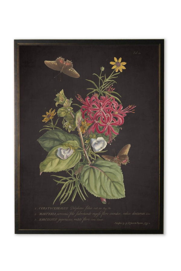 Antique Curiosities Red and Yellow Flowers with Butterflies Framed Print