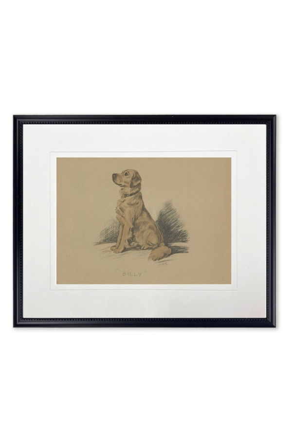 Antique Curiosities Sitting Dog Sketch Print in Black Frame