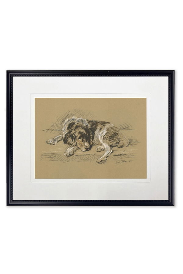 Antique Curiosities Sketched Dog Print in Black Frame Print