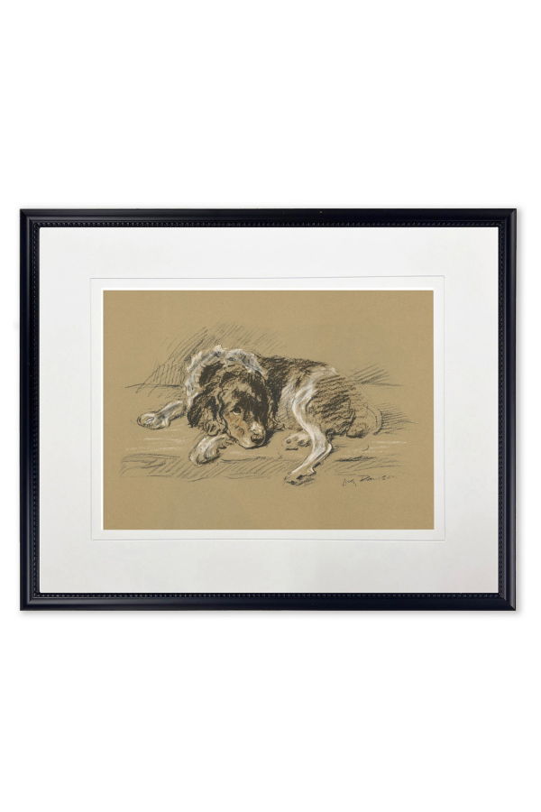 Antique Curiosities Sketched Dog Print in Black Frame Print