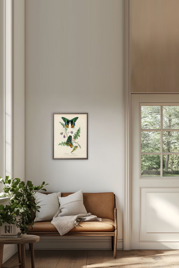Antique Curiosities Vintage Butterflies and Flower Print Framed Print