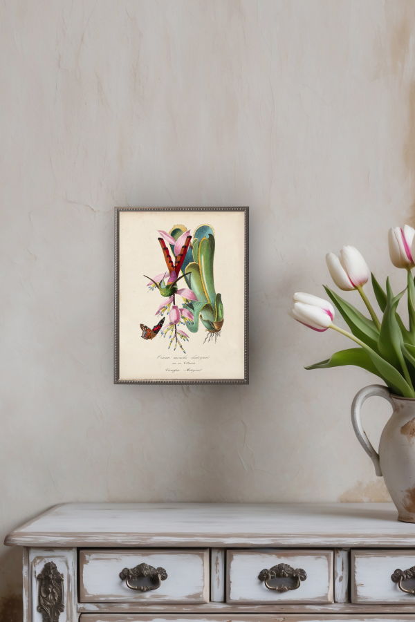 Antique Curiosities Vintage Hummingbird and Flower Print on a Distressed Background in a Beaded Pewter Frame