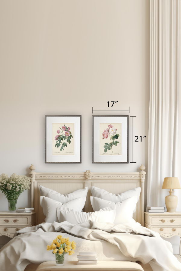 Antique Curiosities Vintage Pink Rose Print