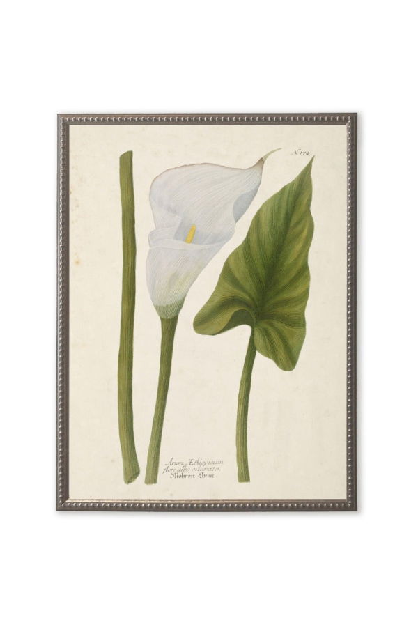 Antique Curiosities White Flower and Leaf in Silver-Beaded Frame Framed Print