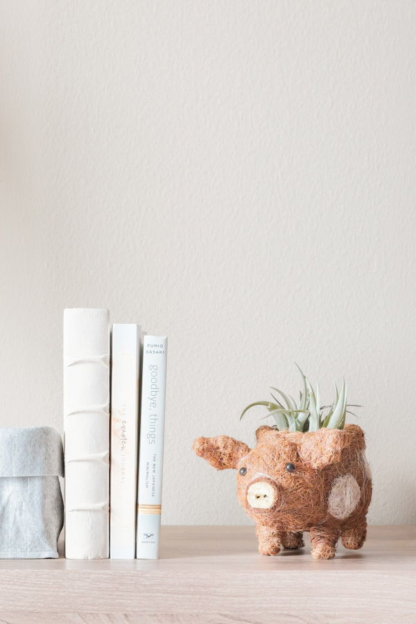 LIKHA Baby Pig Succulent Pot Planter