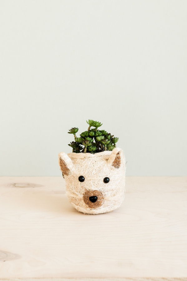 LIKHA Cat Succulent Planter