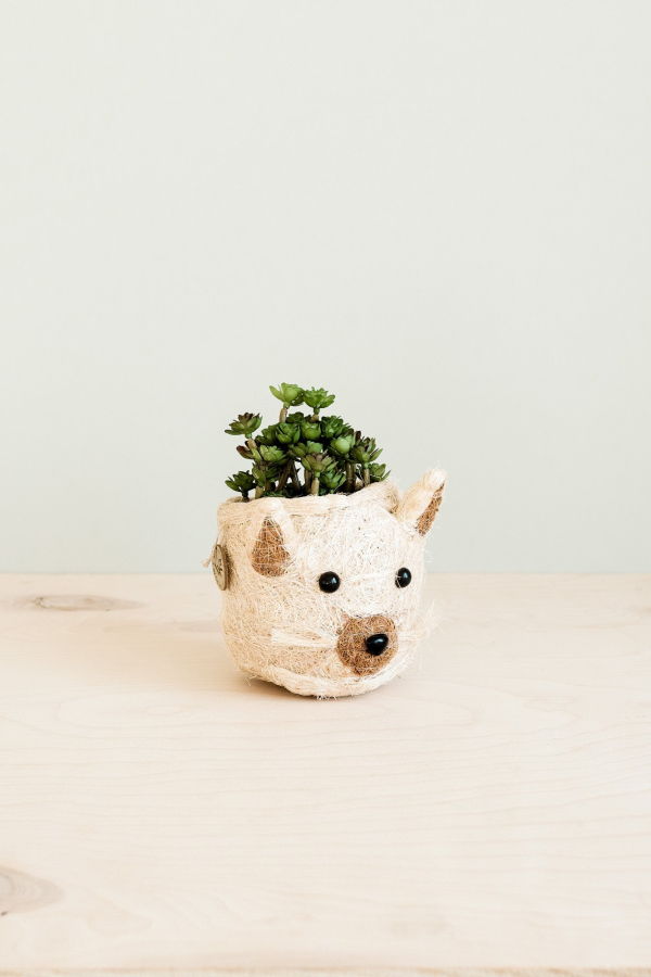 LIKHA Cat Succulent Planter