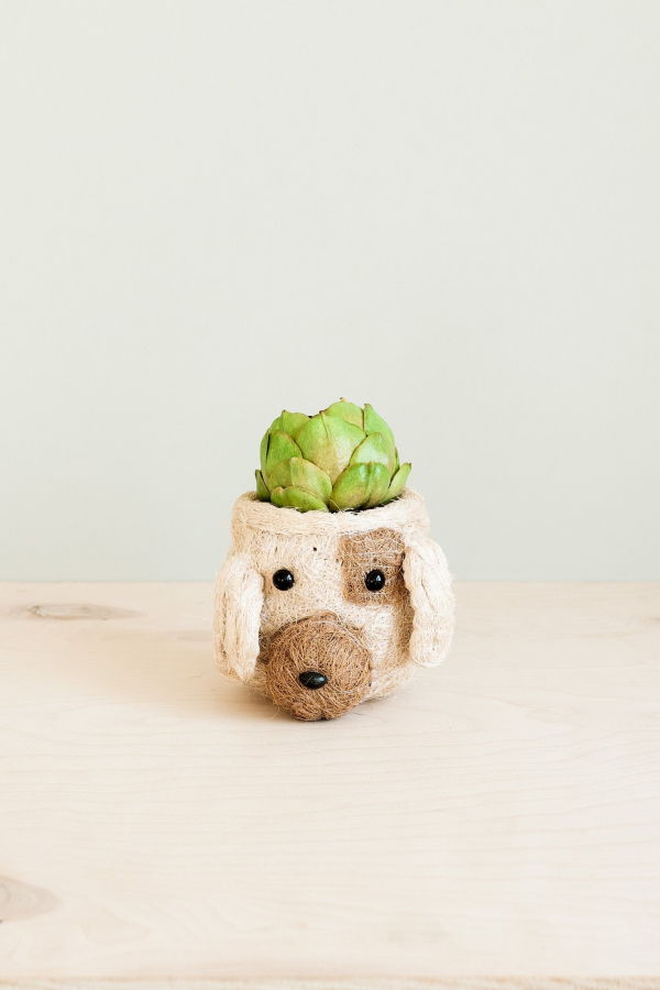 LIKHA Dog Succulent Planter Animal Head Plant Pot