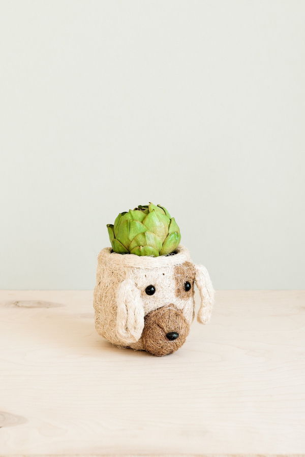 LIKHA Dog Succulent Planter Animal Head Plant Pot