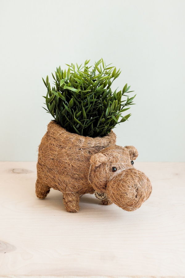 LIKHA Hippo Coco Planter