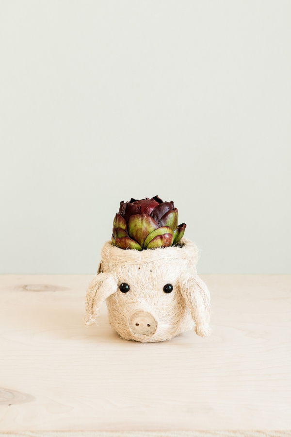 LIKHA Pig Animal Head Plant Pot