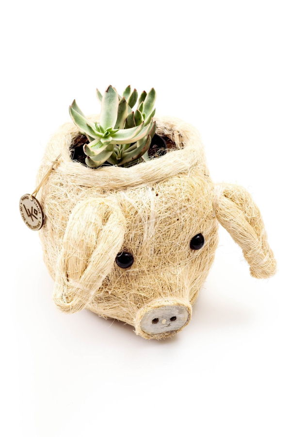 LIKHA Pig Animal Head Plant Pot