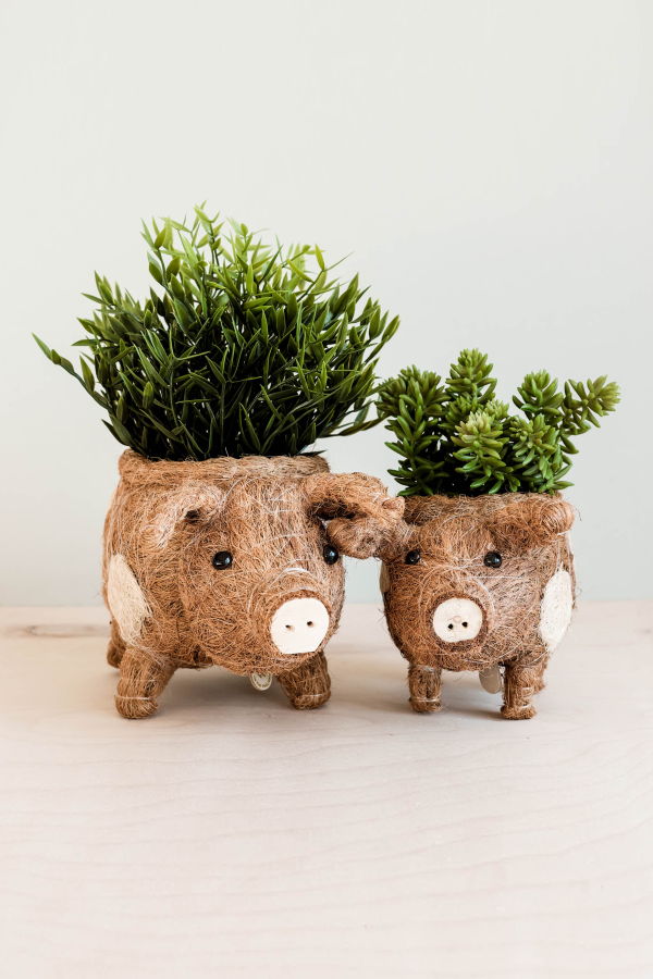 LIKHA Pig Planter