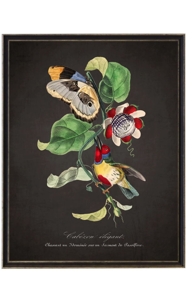 Antique Curiosities Vintage Barbet and Flower Print