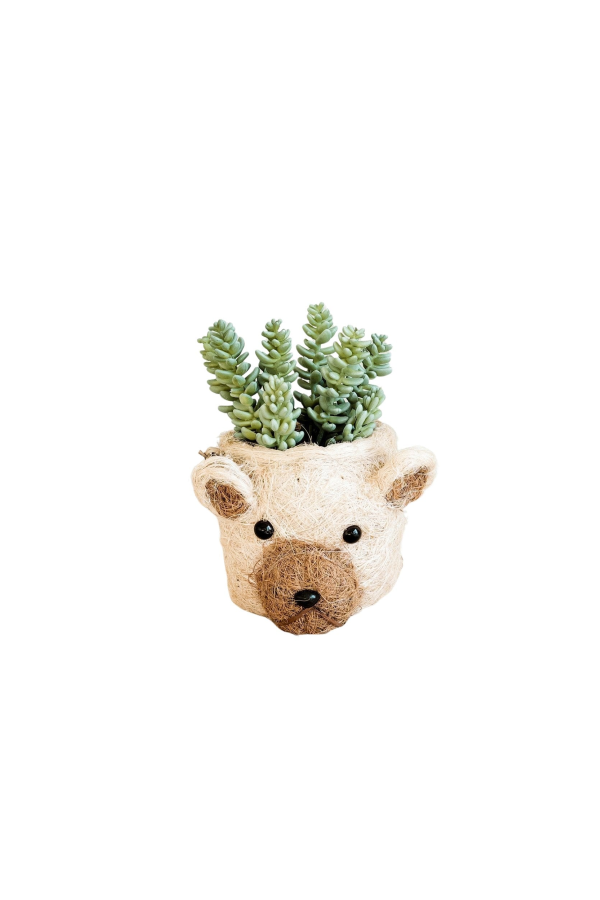 LIKHA Bear Planter