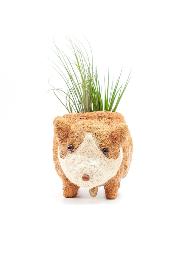LIKHA Baby Corgi Succulent Pot