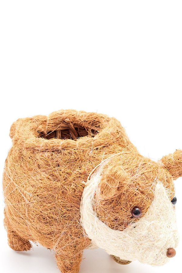 LIKHA Baby Corgi Succulent Pot