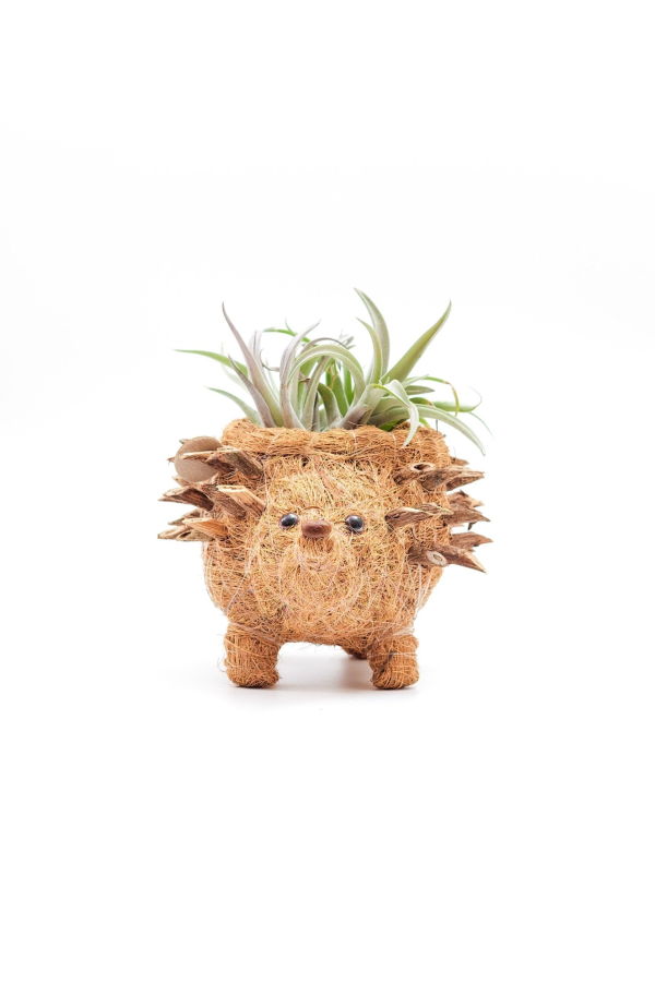 LIKHA Baby Hedgehog Plant Pot
