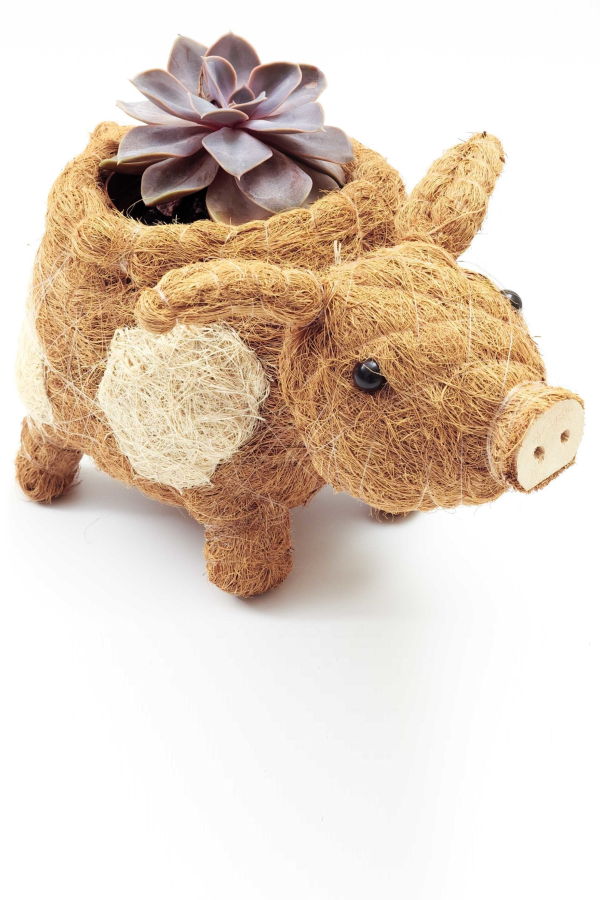 LIKHA Pig Planter