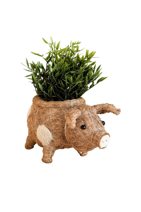LIKHA Pig Planter