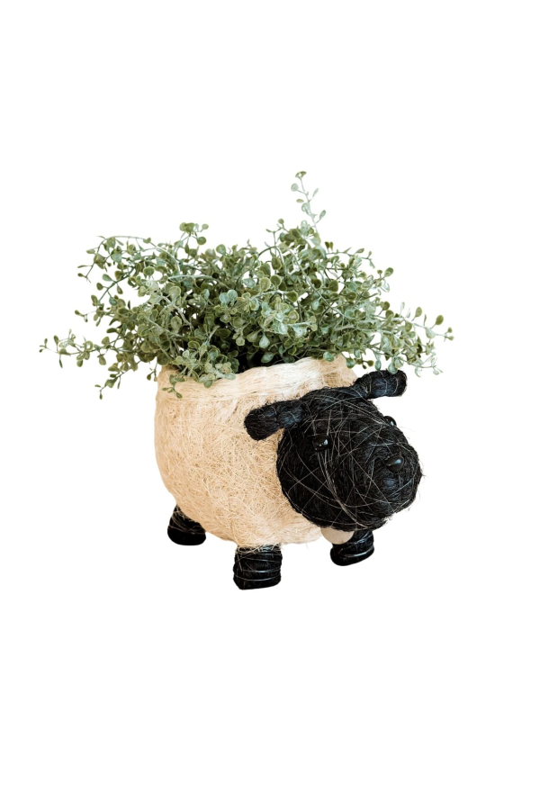 LIKHA Sheep Coco Coir Planter