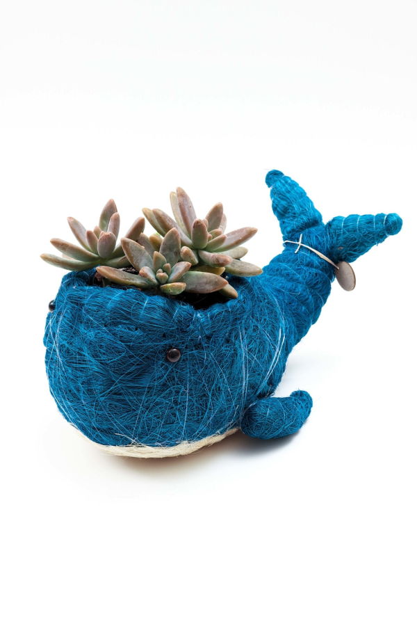 LIKHA Wicker Whale Coco Planter