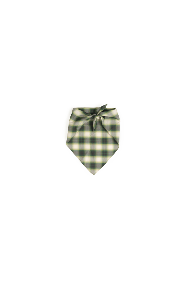 LWN Head Scarf