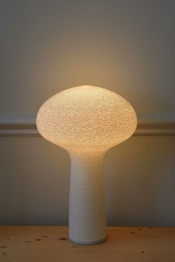 Local Shade Seed Lamp