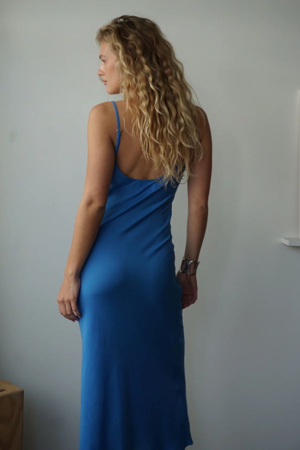 SHOP SHANI Leo Slip Dress