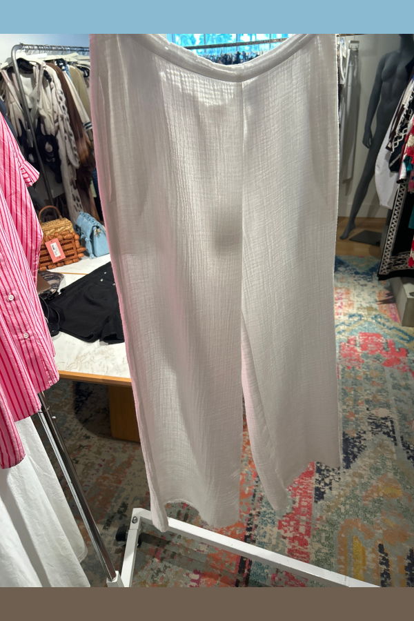 Xirena Jayde Pants - White