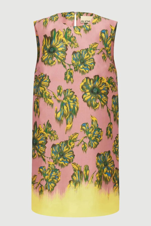 ALÉMAIS Faye Mini Dress - Multi