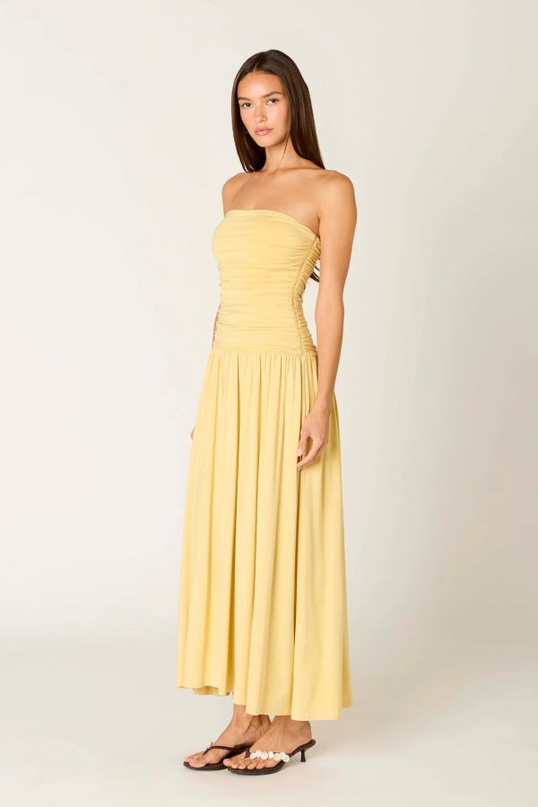NIA Viscose Santal Dress