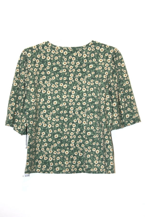 Birds of North America RN1379 Peahen Top