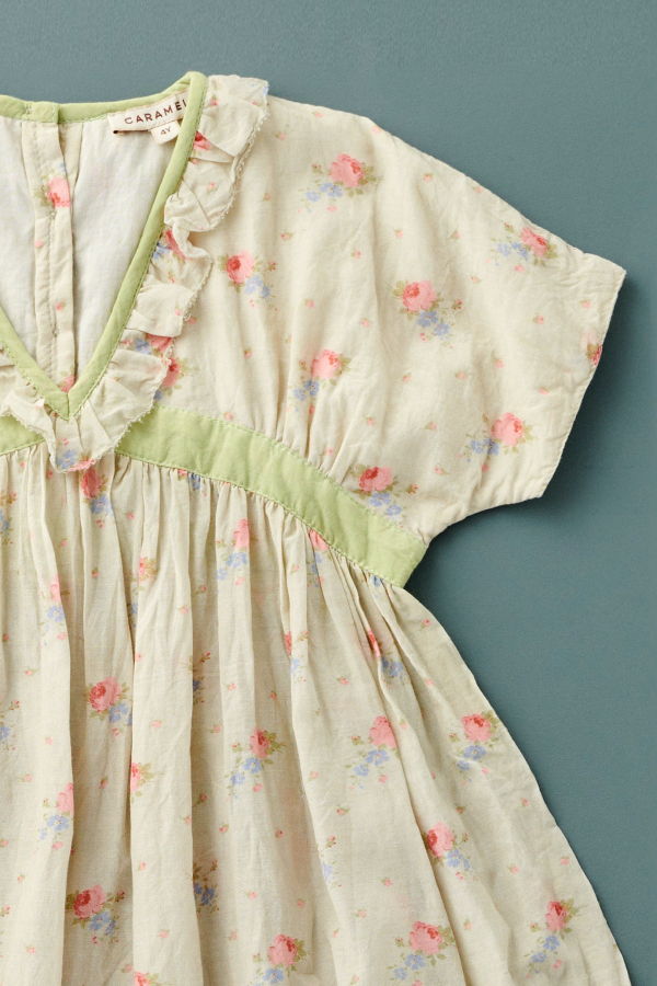 kids Caramel ASPARAGUS DRESS - Rose Bouquet Print