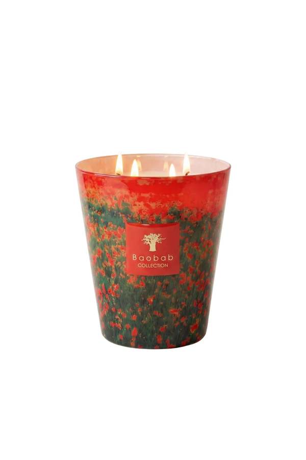 Baobab Max 16 Poppies Candle