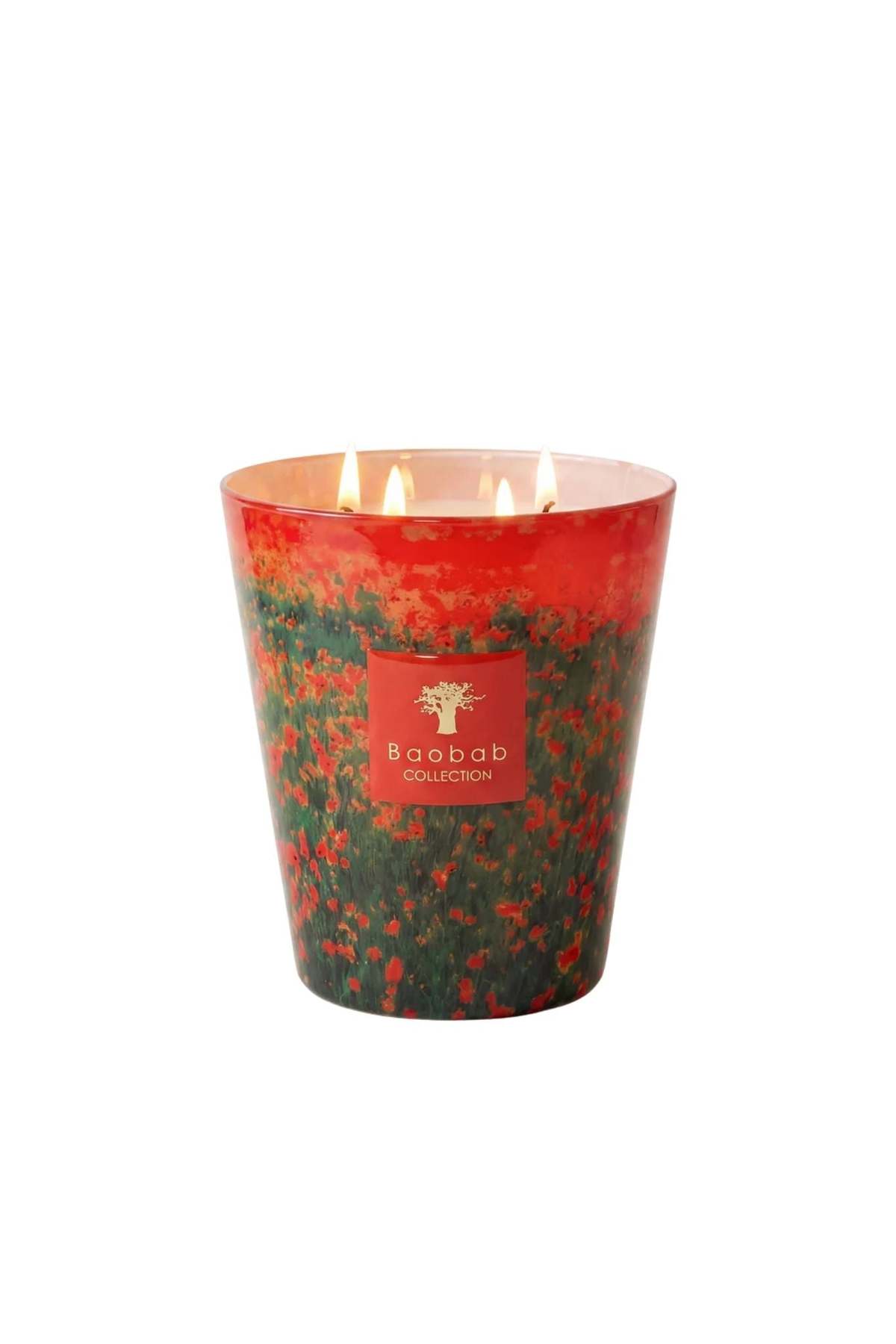 Baobab Max 16 Poppies Candle - Image 1 of 1