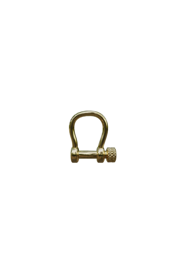 Spicy Dan Carabiner - Gold