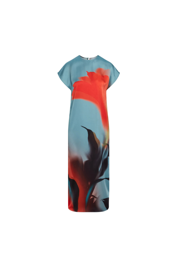 Misa Los Angeles Lenna Dress - Fire Petal