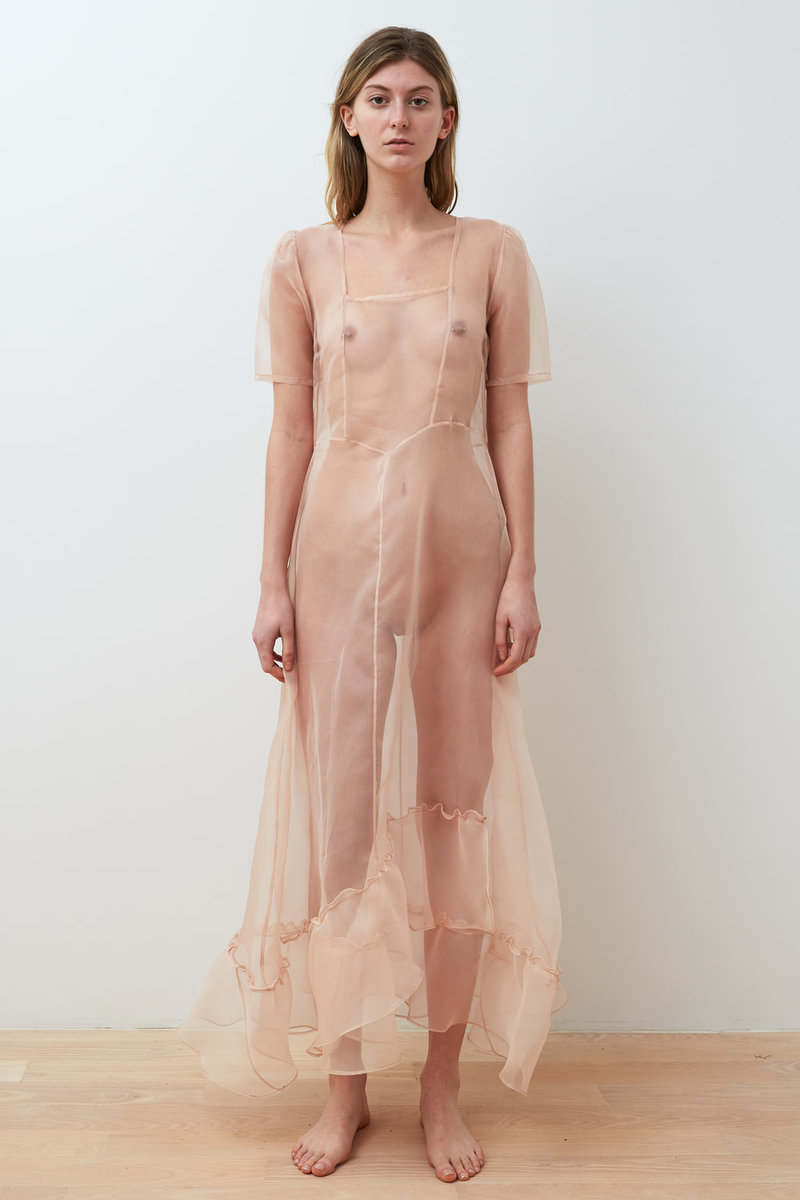 Collina Strada Disnee Dress - Sand Organza | Garmentory