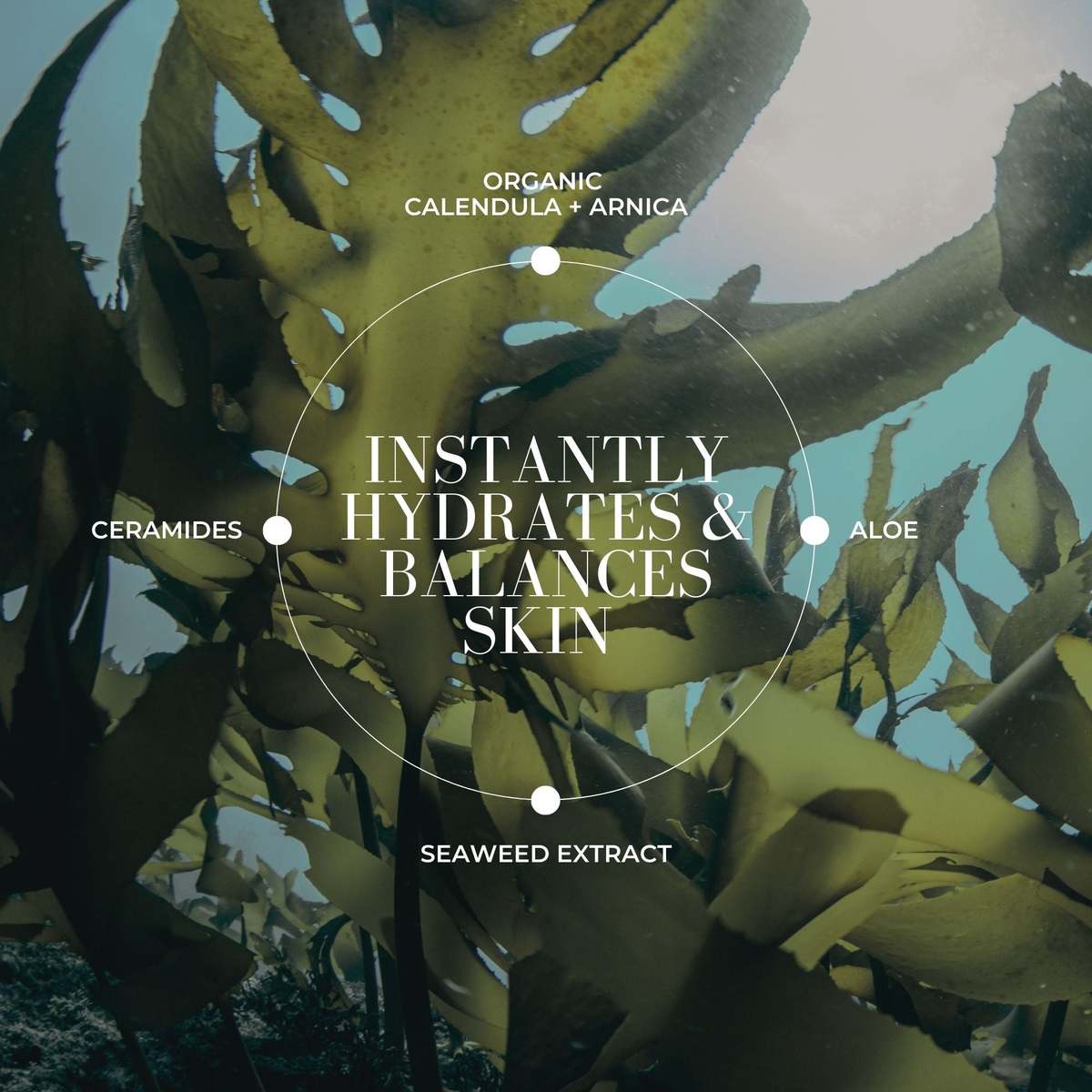 Fitglow Beauty Sea Ceramide Toning Mist - Image 5 of 8